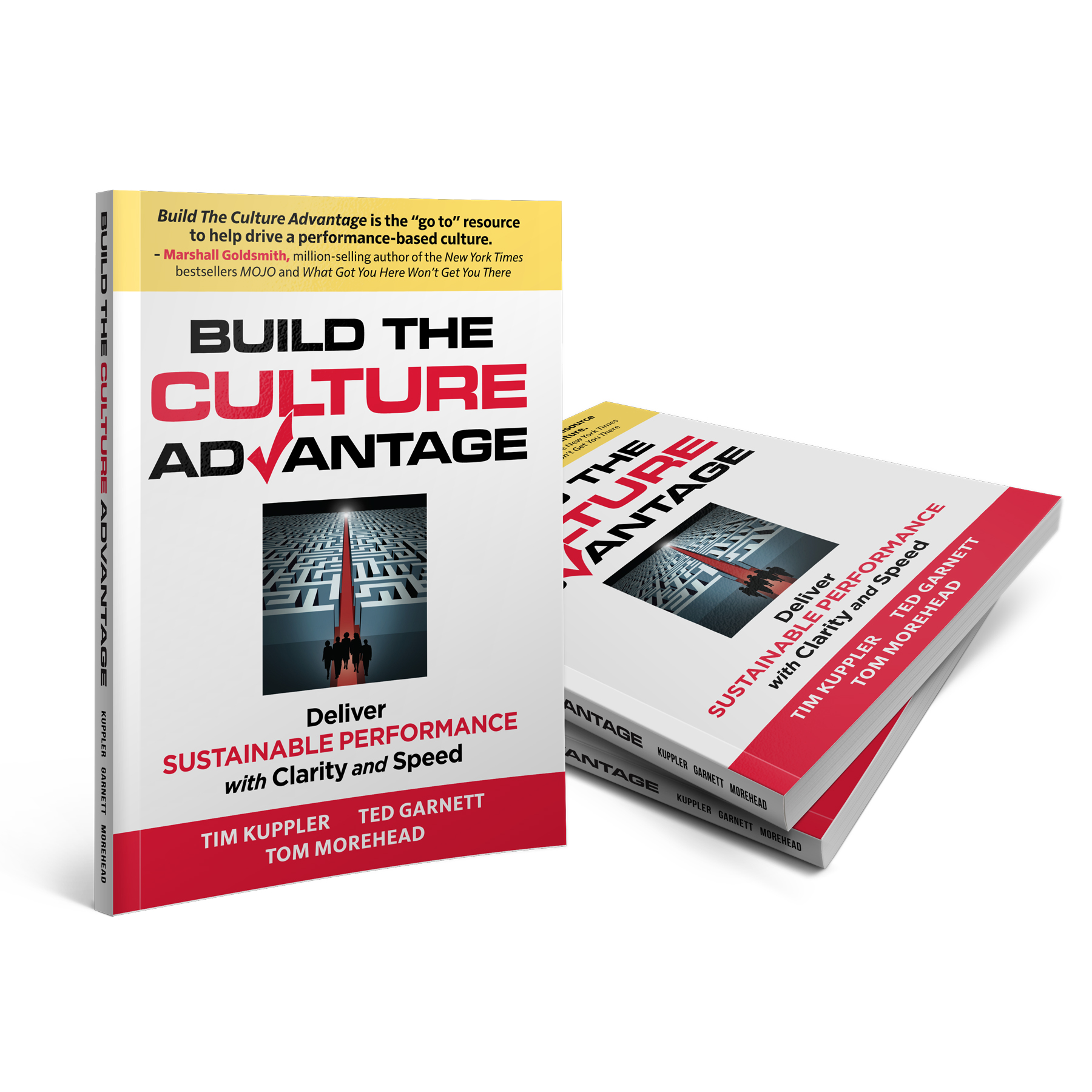 Build The Culture Advantage Book